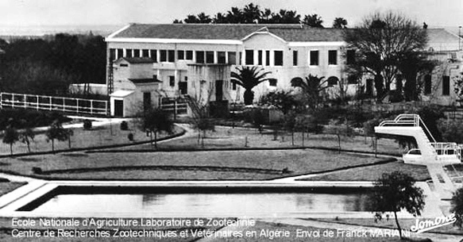 ALGER - MAISON-CARREE - Ecole Nationale d'Agriculture (8).jpg